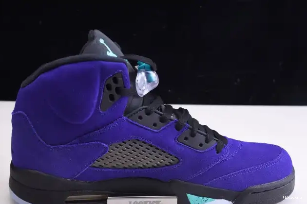 Reps TBK 5 Jordan 136027-500 Alternate Retro Grape Air 0517